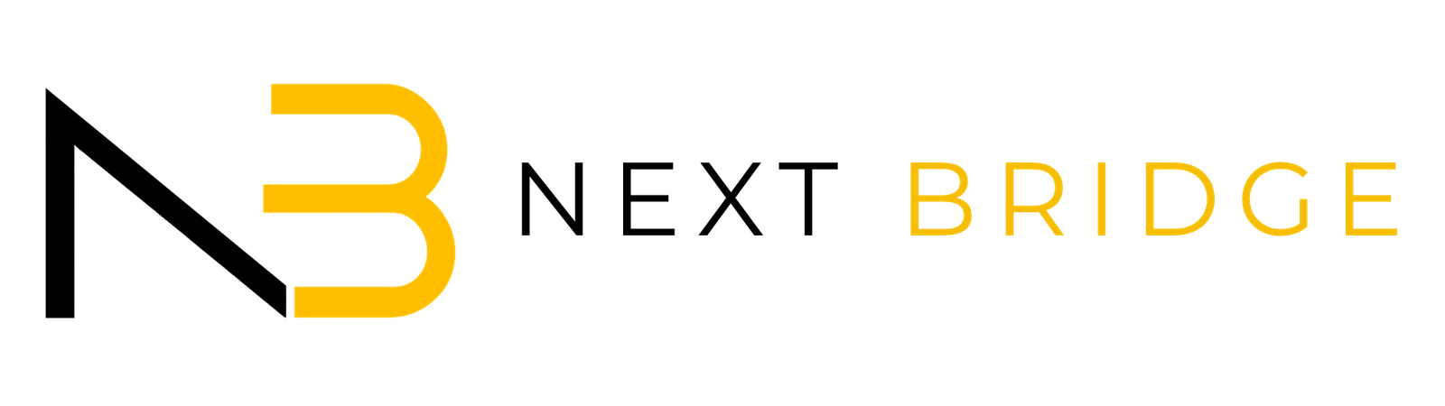 Next Bridge Logo